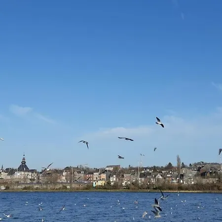Jolie Maison Vue Meuse Au Centre De Vise *